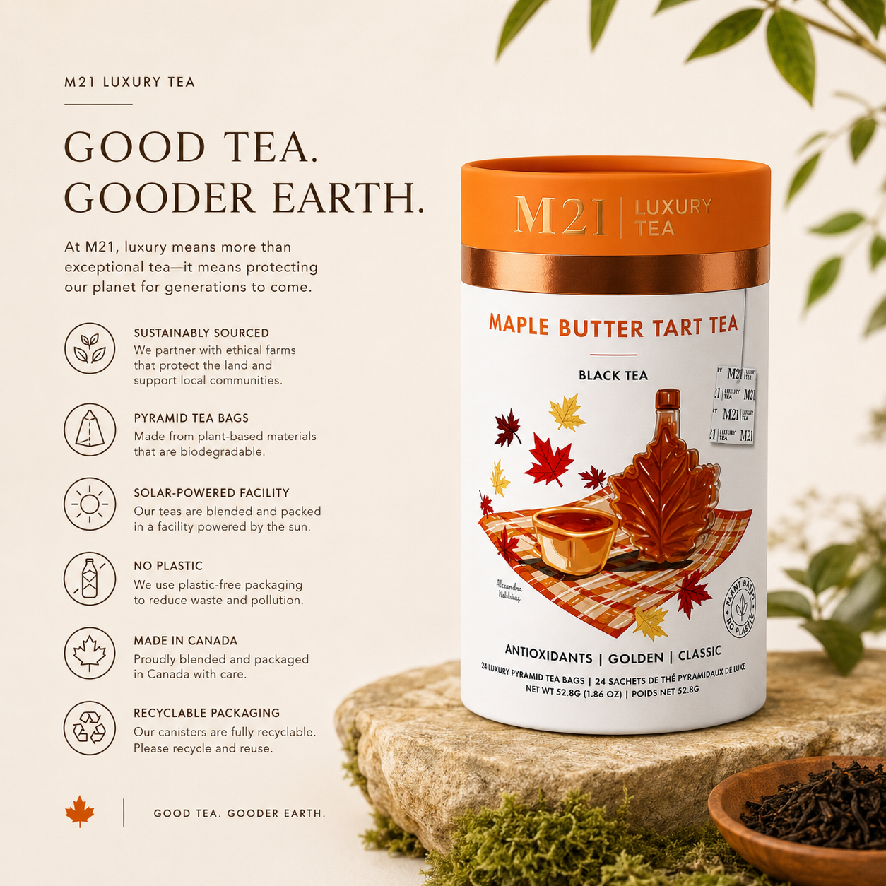 Maple Butter Tart Luxury Tea | 24ct