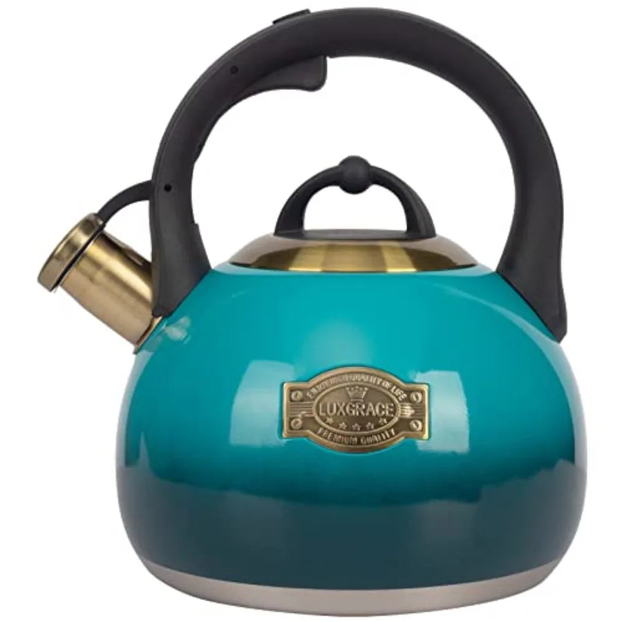 Stainless Steel Stove Tea Kettle