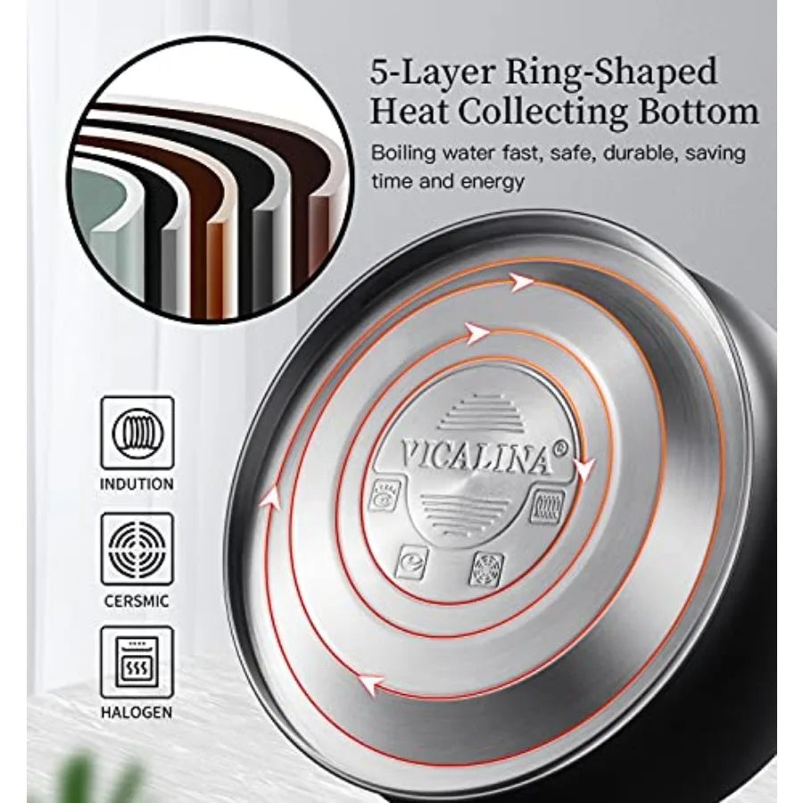 Stainless Steel Whistling Tea Kettle