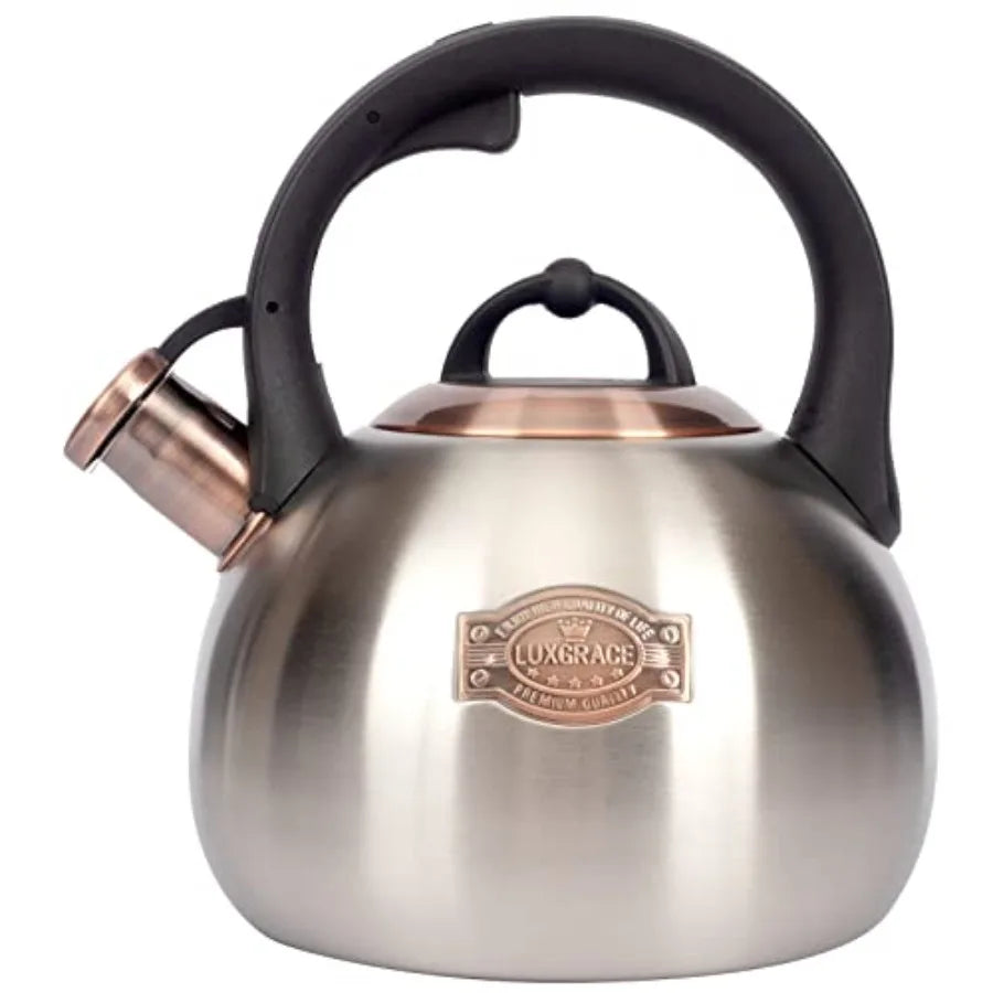 Stainless Steel Stove Tea Kettle