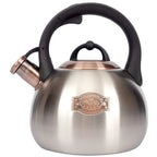 Stainless Steel Stove Tea Kettle