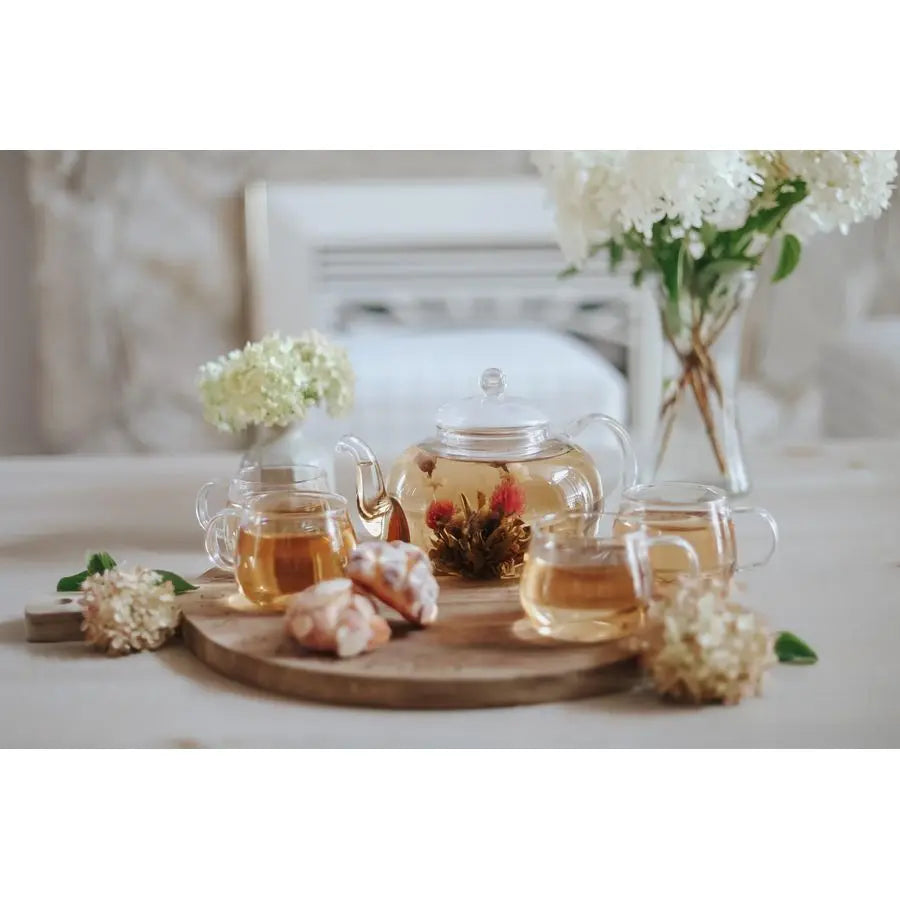 Heatproof Glass Teapot Set