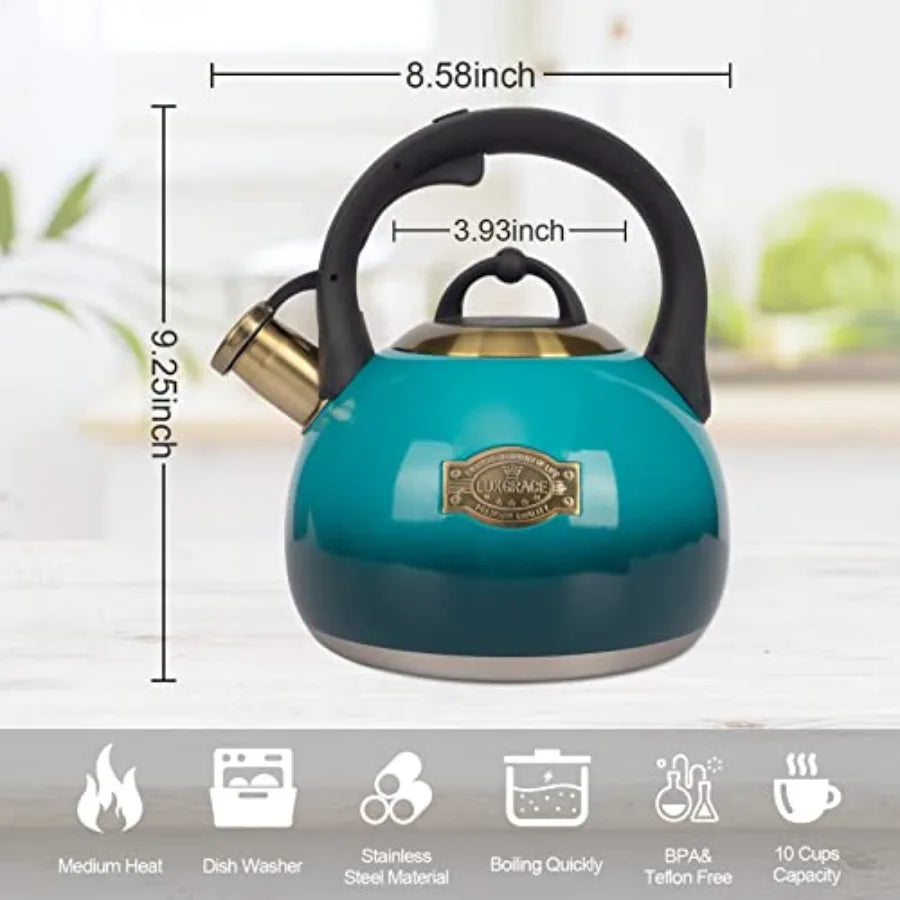 Stainless Steel Stove Tea Kettle