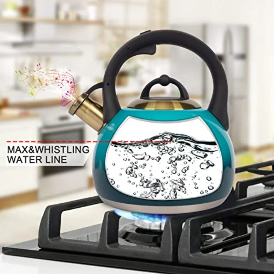Stainless Steel Stove Tea Kettle