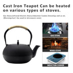 Big Japanese Cast Iron Teapot