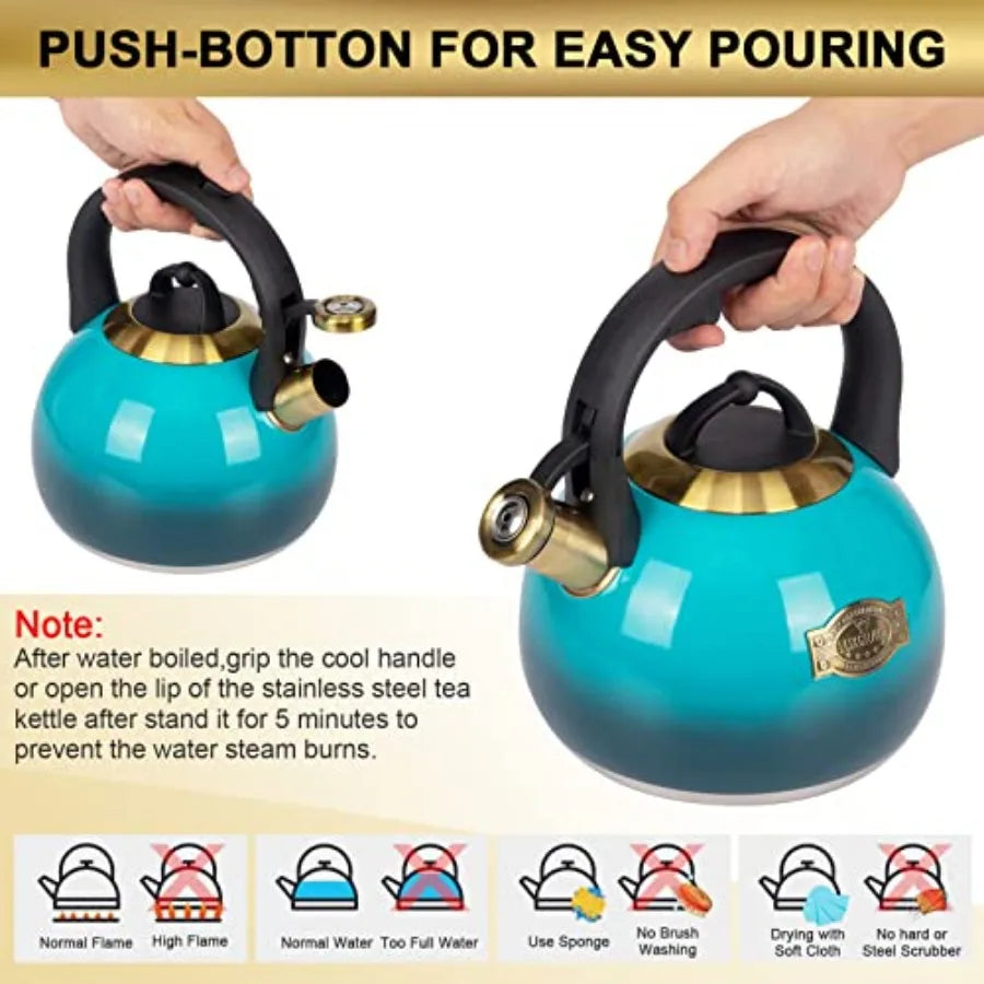 Stainless Steel Stove Tea Kettle