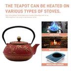 Cast Iron Tea Kettle with Infuser