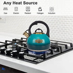 Stainless Steel Stove Tea Kettle