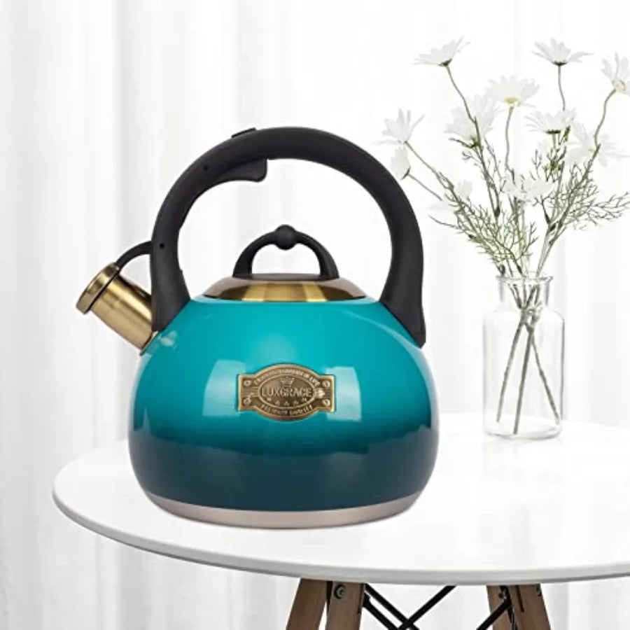 Stainless Steel Stove Tea Kettle