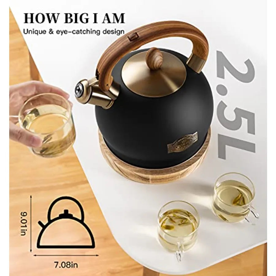 Stainless Steel Whistling Tea Kettle