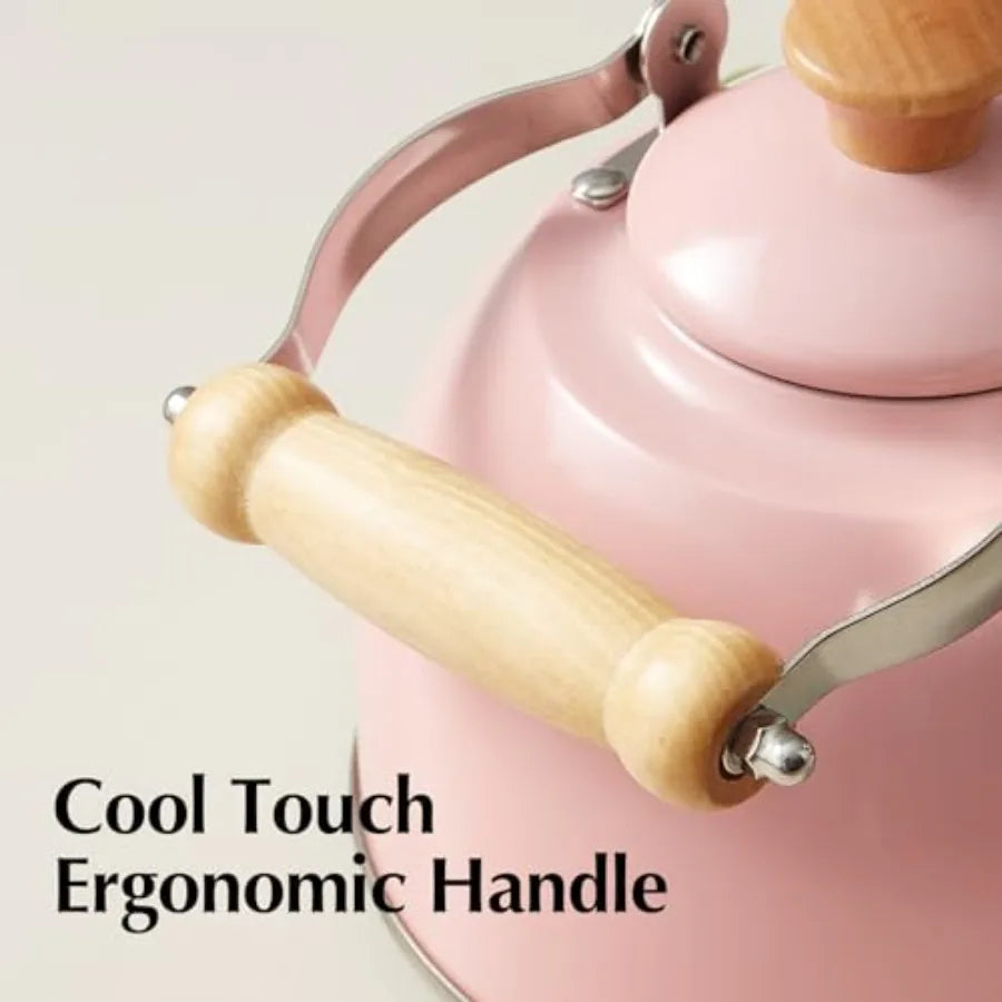 Cool Touch Tea Kettle