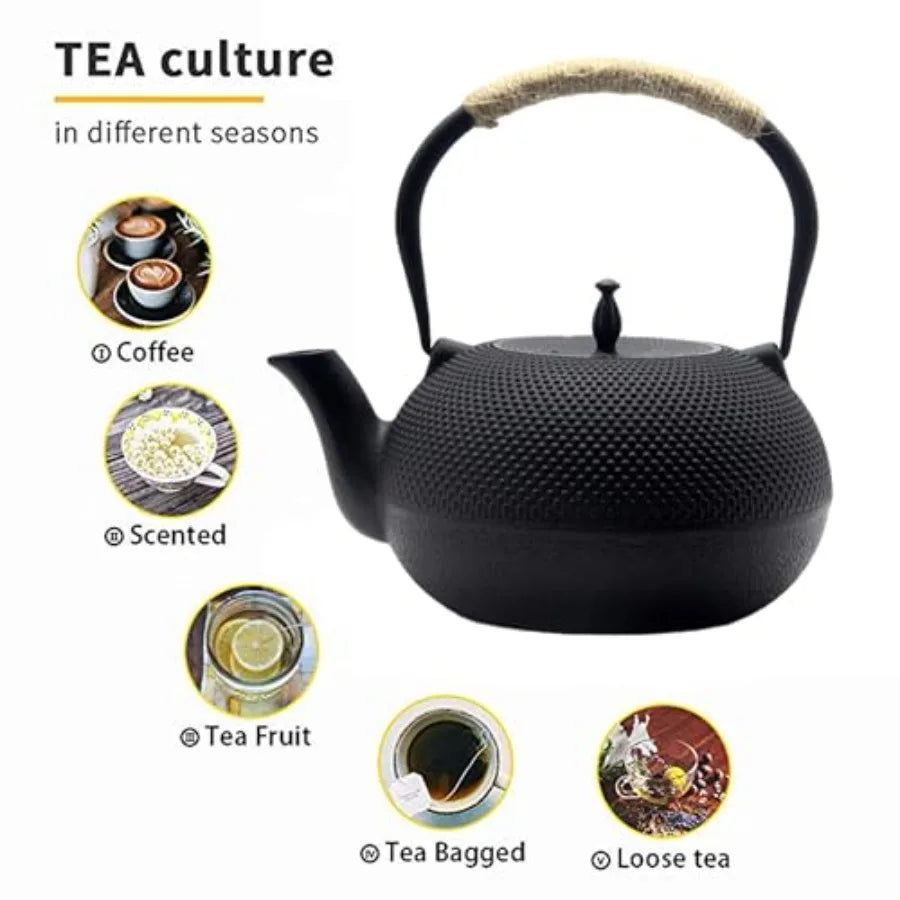 Big Japanese Cast Iron Teapot